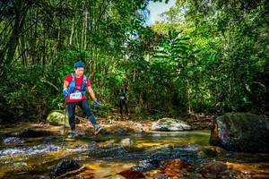 BIB: 9027
                            <button type="button" onclick="openModal(21766196)" class="btn btn-primary btn-sm float-right btn-popup" data-toggle="modal" data-target=".modal-high-quality">
                        <i class="fas fa-shopping-cart"></i> Add to Cart
                    </button>
                                            <button type="button" onclick="isThisMe(21766196, true)" class="btn btn-success btn-sm float-right btn-popup btn-isme hidden" data-toggle="tooltip" data-placement="bottom" title="นี่คือรูปของคุณใช่ไหม คลิกที่นี่เพื่อเอาเข้าอัลบั้ม">
                        <i class="fas fa-plus"></i> Add to album
                    </button>
                    <button type="button" onclick="isThisMe(21766196, false)" class="btn btn-warning btn-sm float-right btn-popup btn-isnotme hidden">
                        <i class="fas fa-ban"></i> Remove from album
                    </button>